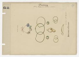 Sépultures de Chassemy - bracelets et perles