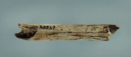 Open original Objet numérique