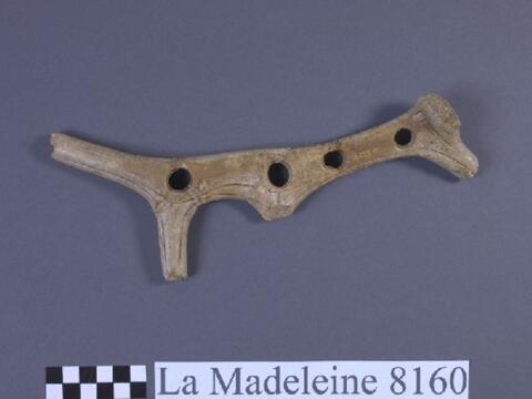 Open original Objet numérique