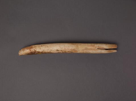 Open original Objet numérique