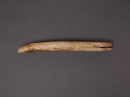 MAN 55181.c