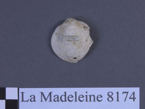 Open original Objet numérique