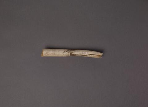 Open original Objet numérique