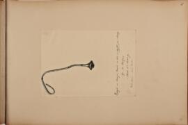BIB 4232 ; 2019002/2