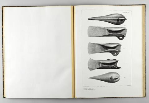 Open original Objet numérique