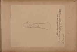 BIB 4232 ; 2019002/2