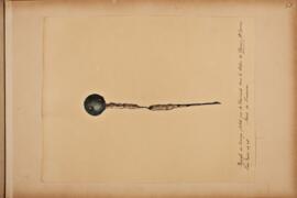 BIB 4232 ; 2019002/2