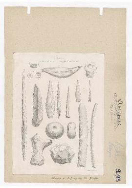 Planches du dictionnaire concernant les objets travaillés de la caverne d'Aurignac