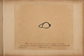 BIB 4232 ; 2019002/2