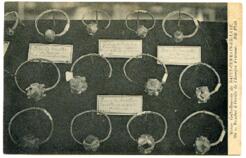 Musée Gallo-Romain de SAINT-GERMAIN-EN-LAYE. 384 – Boucles d’oreilles de l’Epoque Franque. ND Phot.