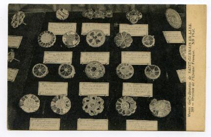 Open original Objet numérique