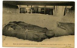 159– MUSEE DE SAINT-GERMAIN-EN-LAYE. Sépulture d’un chef gaulois retrouvé dans le Doubs